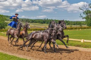 Real Money Best Odds for Horse Racing India 2026: Pro Tips to Win in India (2026)